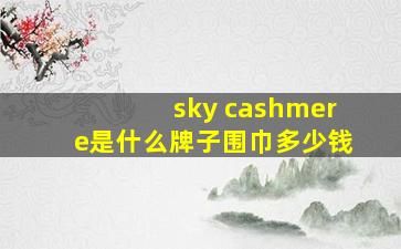 sky cashmere是什么牌子围巾多少钱